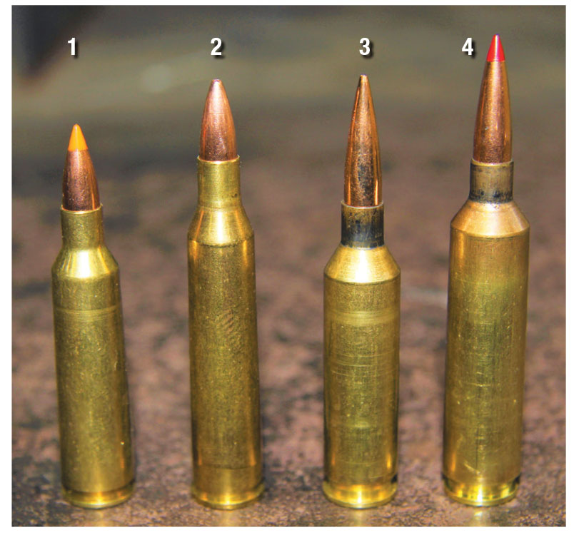 Four hopped-up .224 cartridges shown here for comparison are: (1) .22-250 Remington, (2) .220 Swift, (3) .22 Creedmoor and (4) 22-284 Winchester.